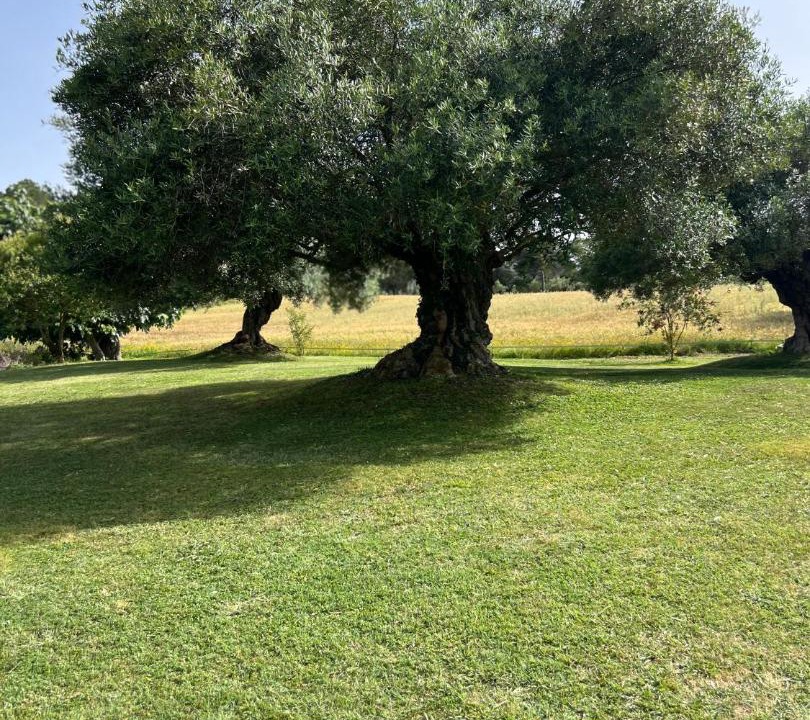 Photo of Others in Caldes de Malavella