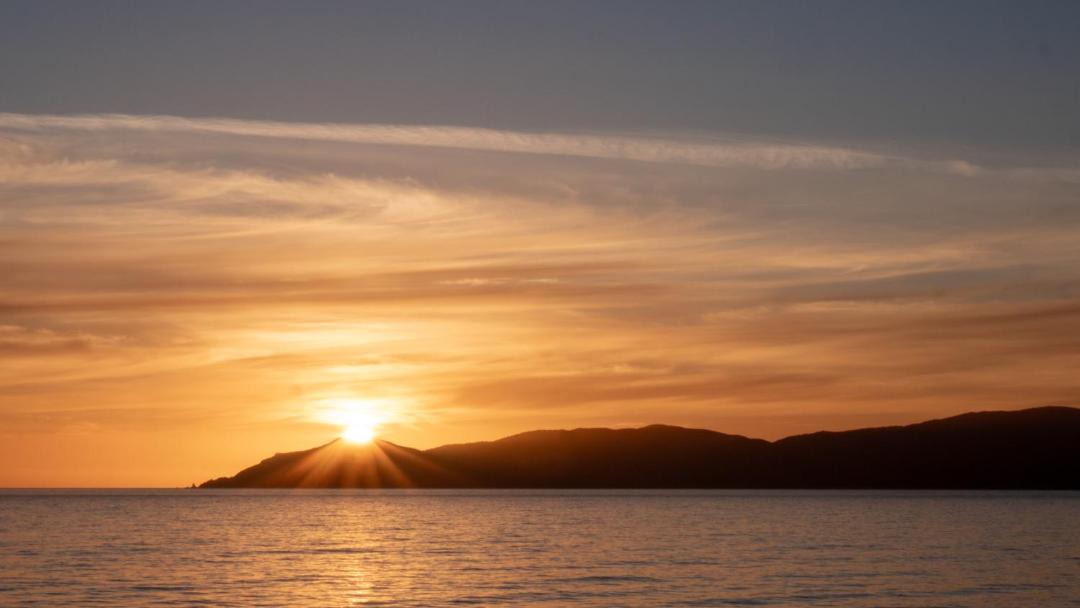 Photo of Others in Raumati South