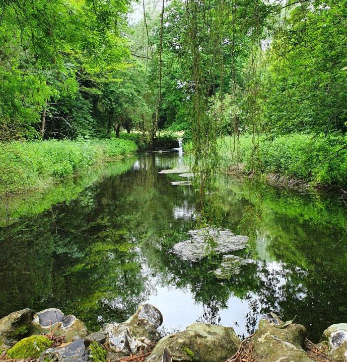 Photo of Others in High Wycombe