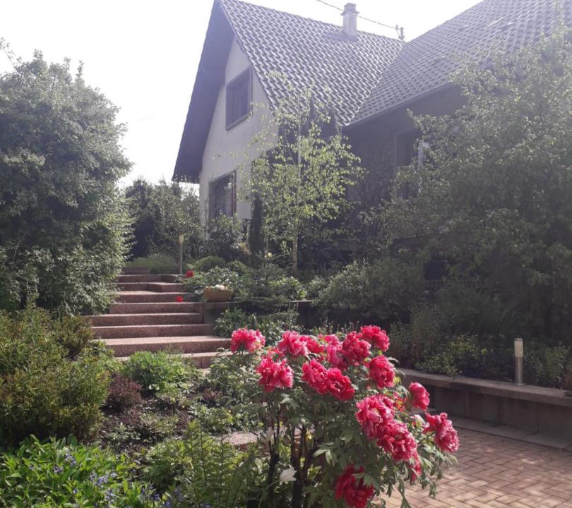 Photo of Others in Alteckendorf