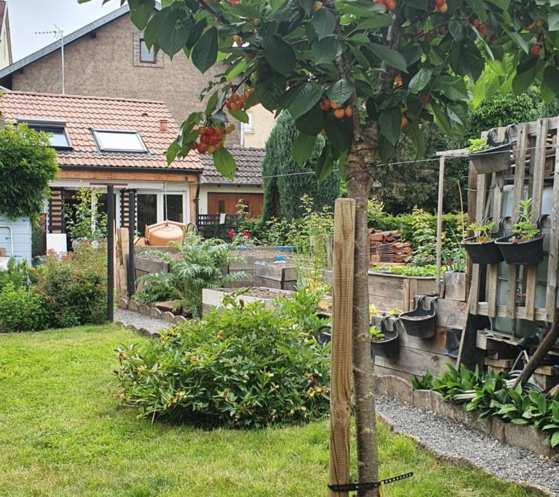 Photo of Others in Capavenir-Vosges