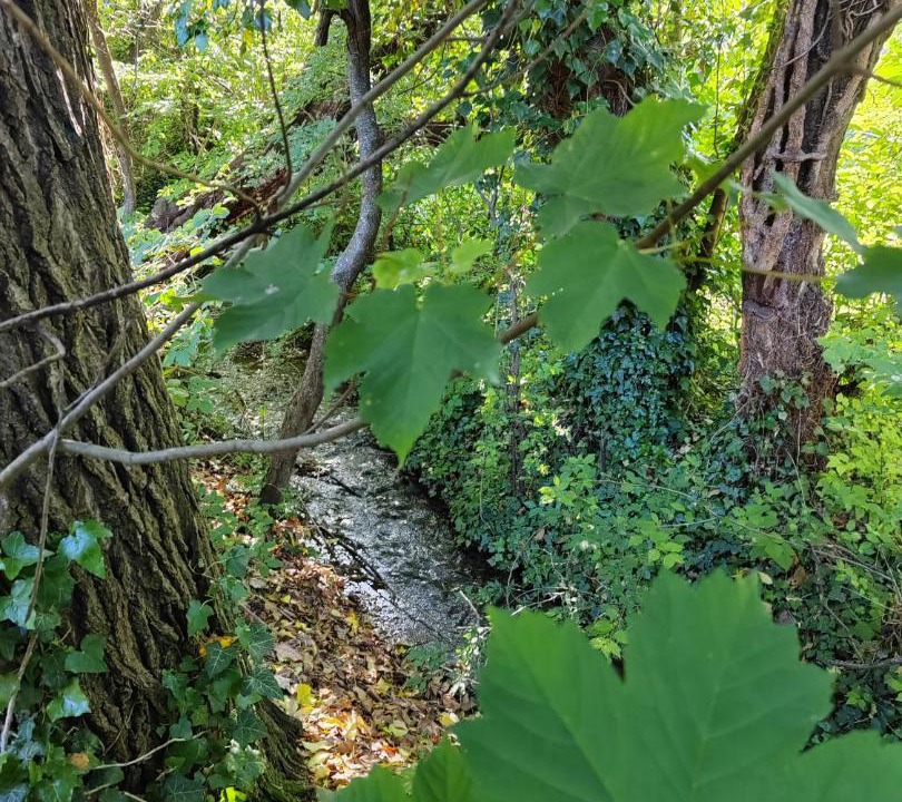 Photo of Others in Nant