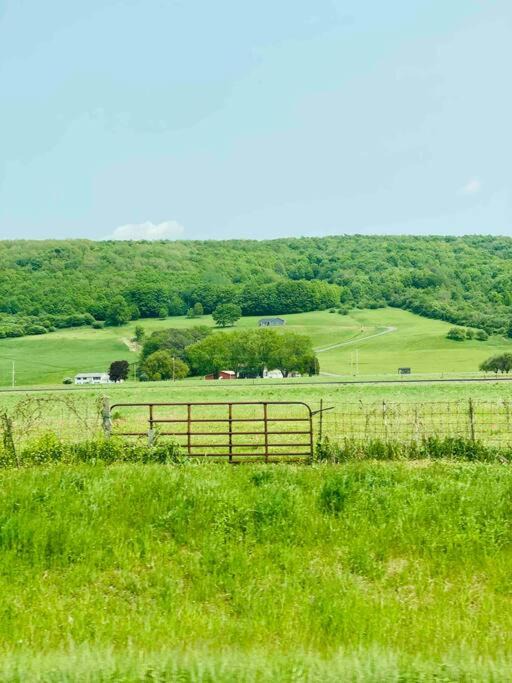 Photo of Others in Aokautere