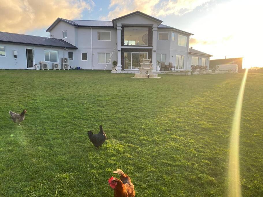 Photo of Others in Aokautere