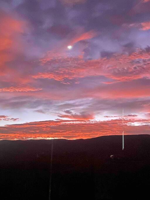 Photo of Others in Aokautere