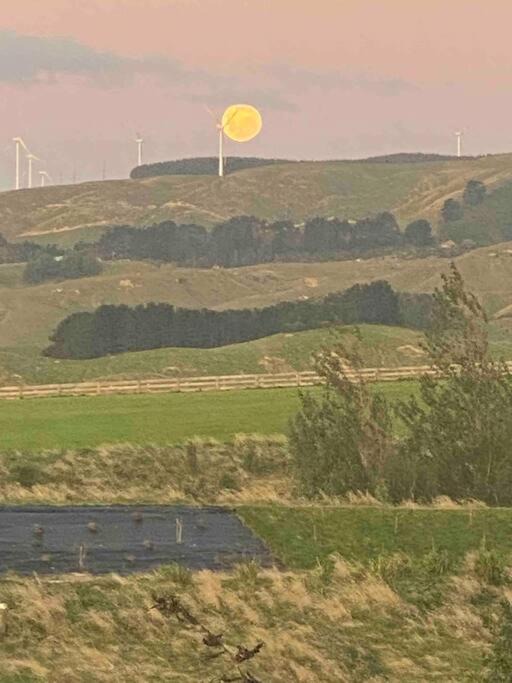 Photo of Others in Aokautere