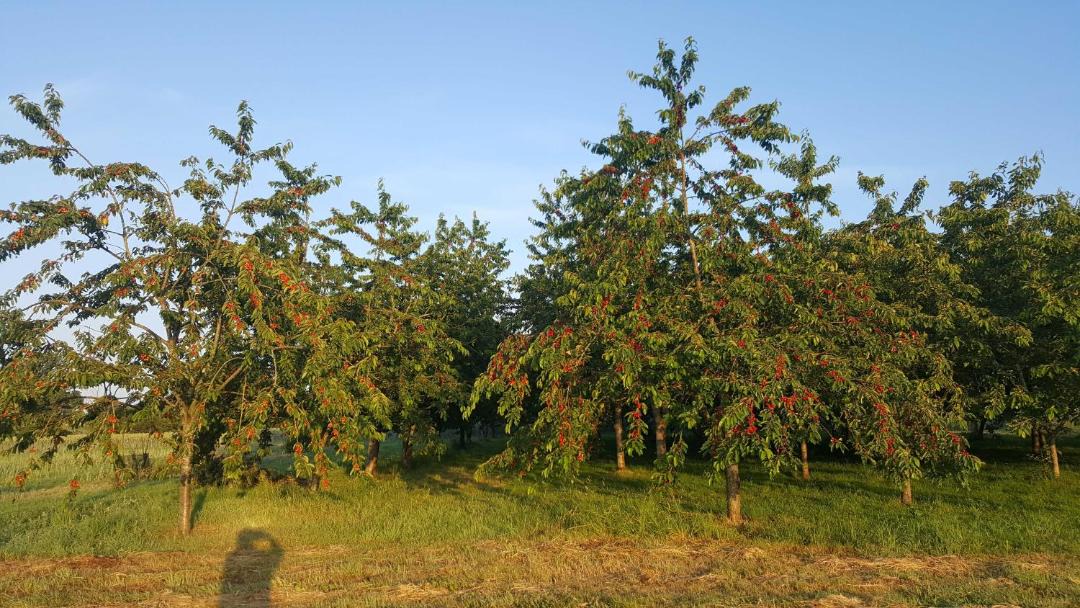 Photo of Others in Ernee