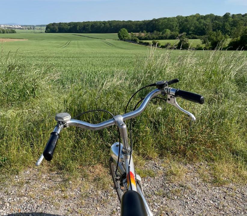 Photo of Others in Boisemont