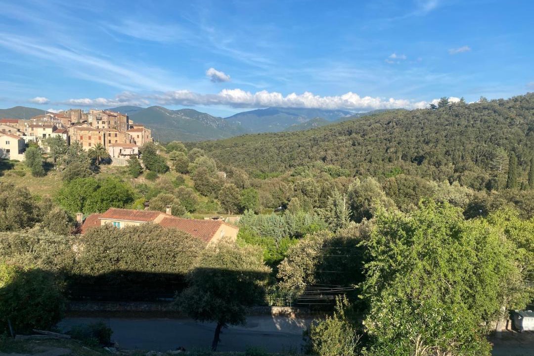 Photo of Others in Piedigriggio