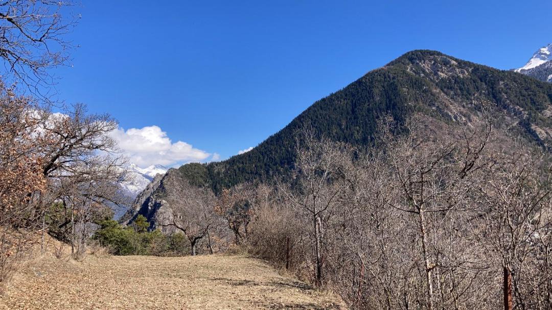 Photo of Others in Chalais