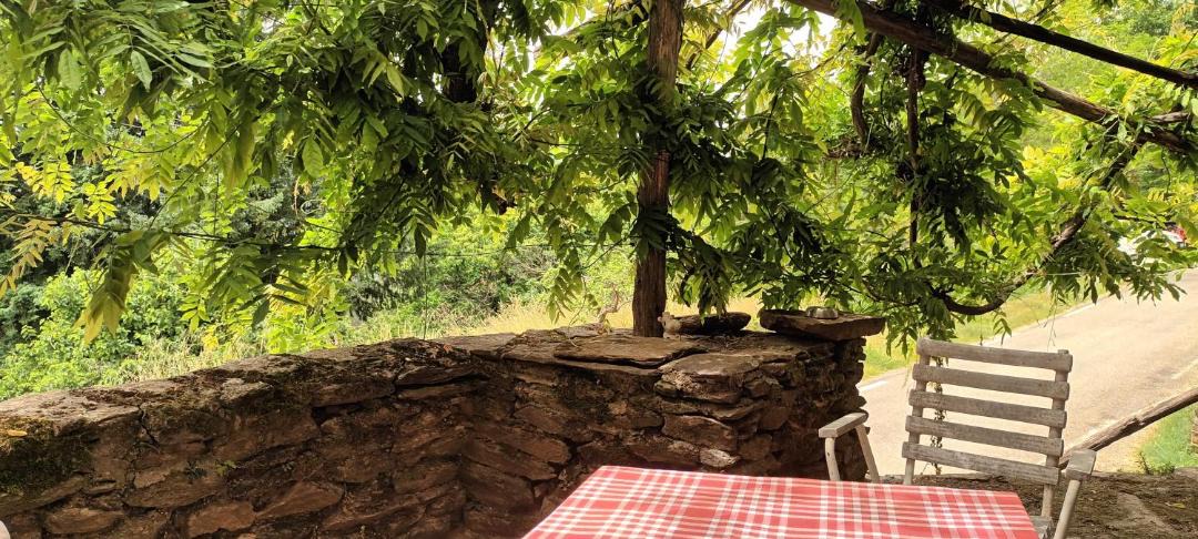 Photo of Others in Chambon