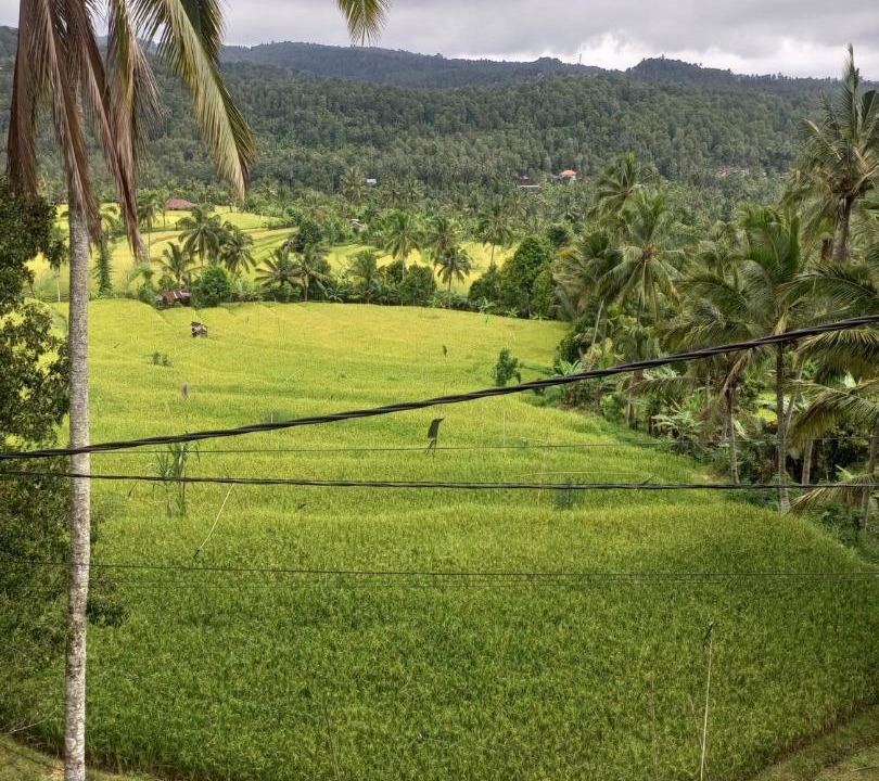 Photo of Others in Munduk