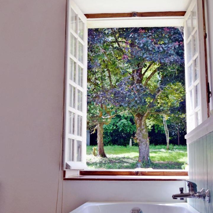 Photo of Others in Massignac