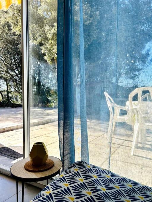 Photo of Others in Bras