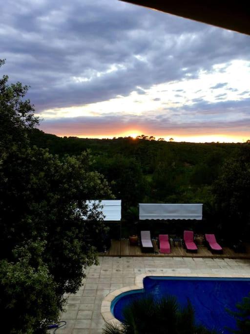 Photo of Others in Bras