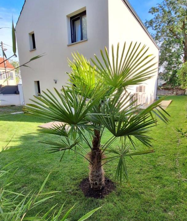 Photo of Others in Taverny