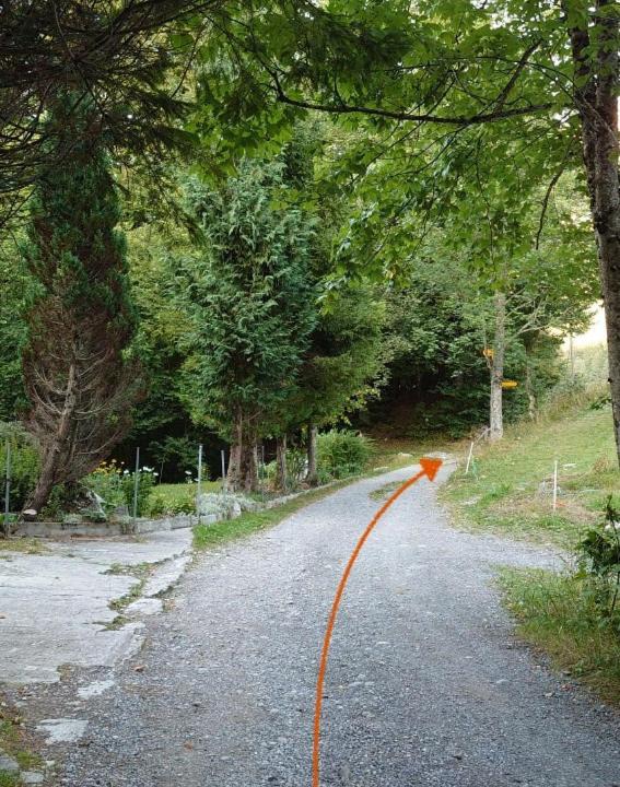 Photo of Others in Lungern