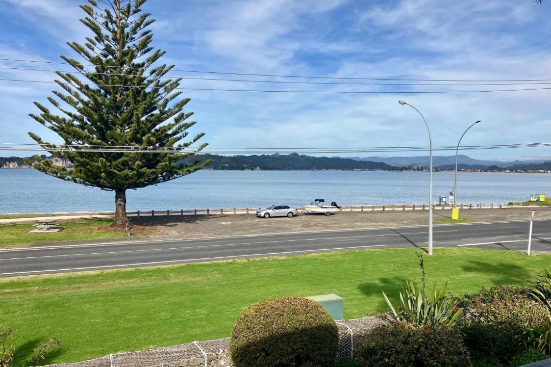 Photo of Others in Whitianga