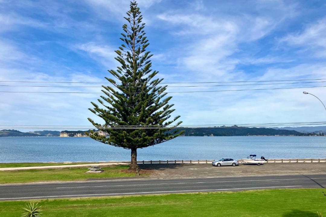 Photo of Others in Whitianga