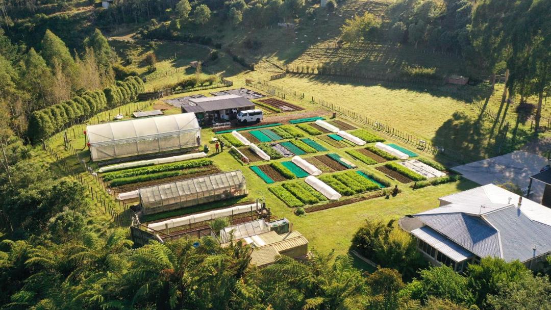 Photo of Others in Kaitake