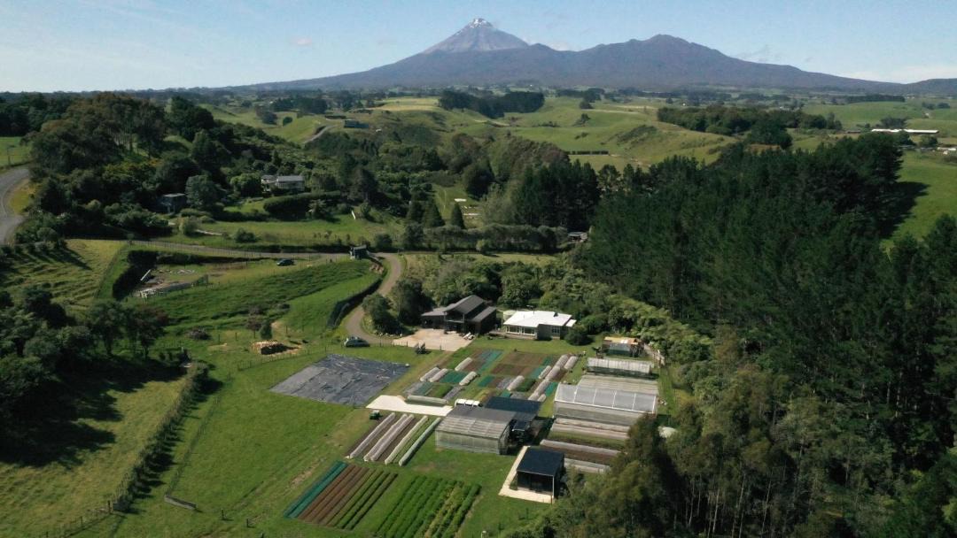 Photo of Others in Kaitake