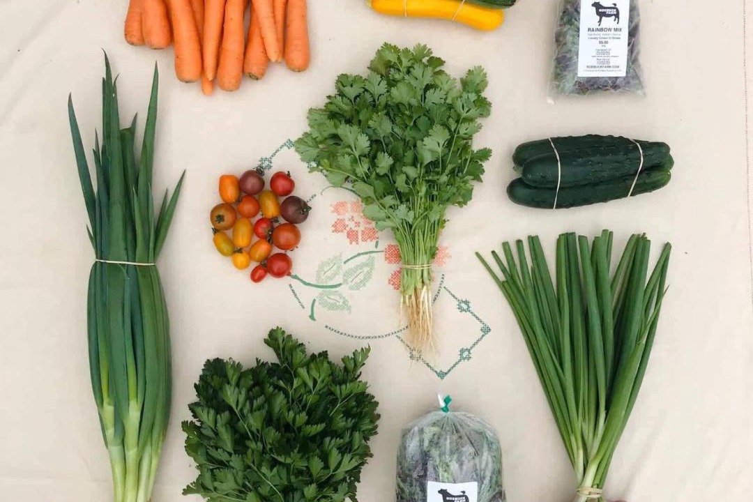 Photo of Others in Kaitake