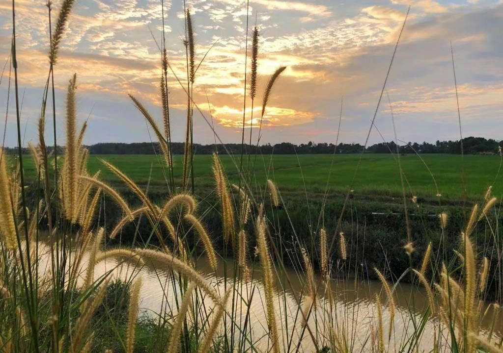 Photo of Others in Kampung Tanjong Musang