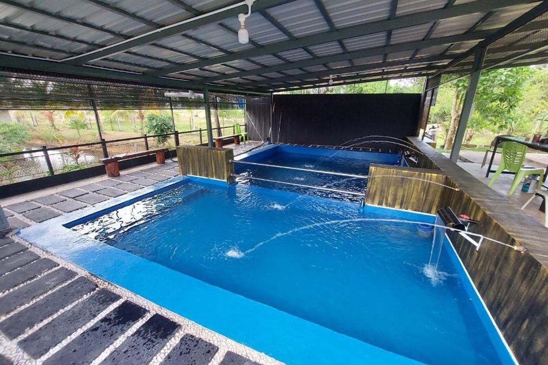 Photo of Others in Kampung Tanjong Musang