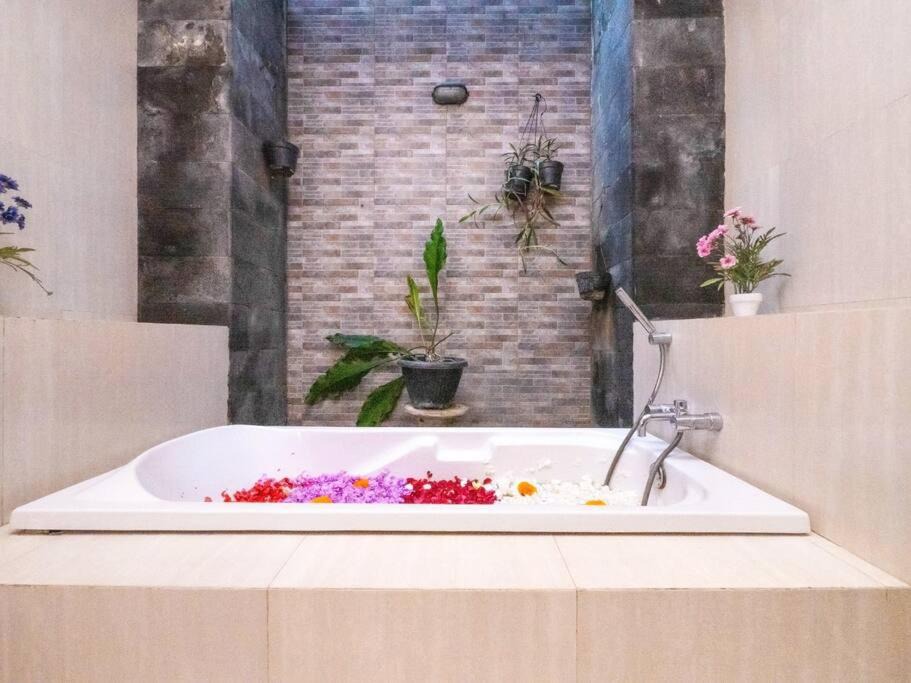 Photo of Others in Medahan