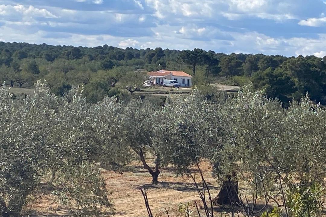 Photo of Others in Navarres