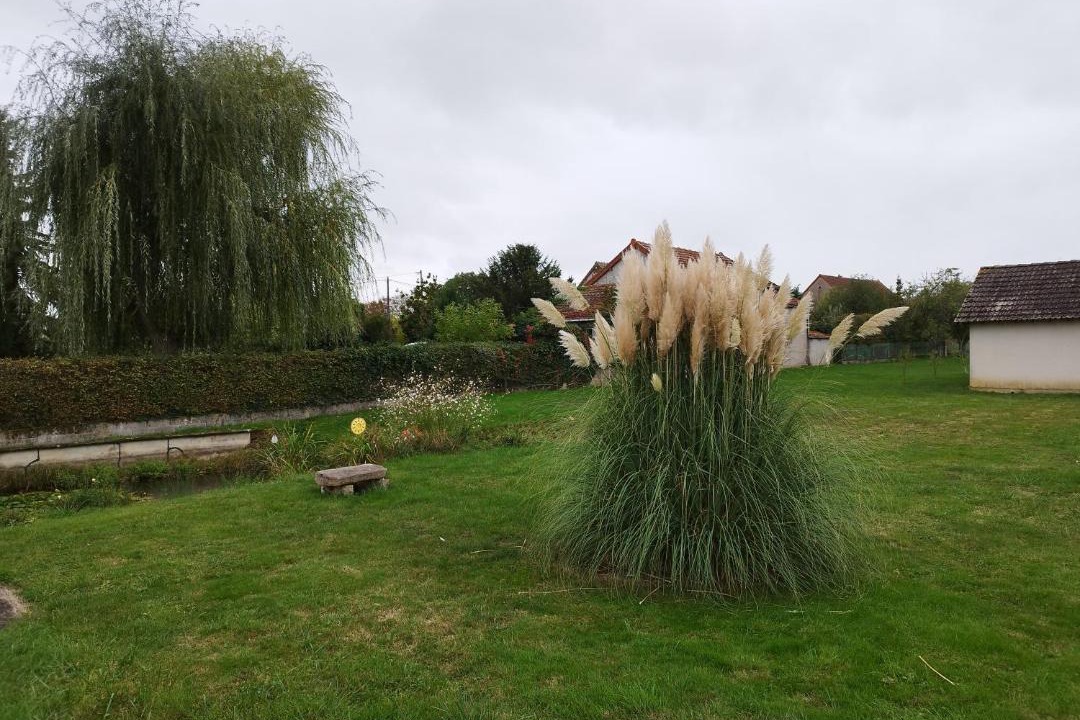 Photo of Others in Saint-Pierre-les-Etieux