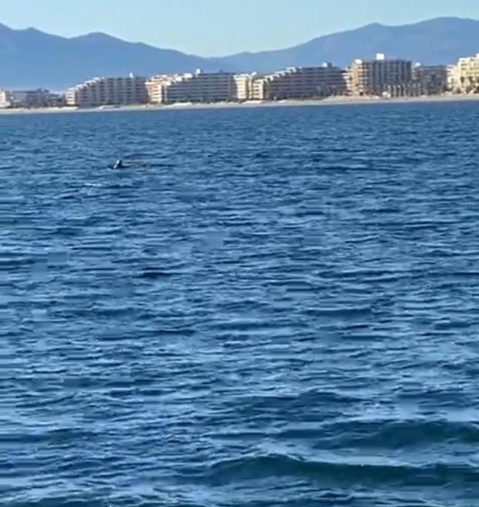 Photo of Others in Mediterranee