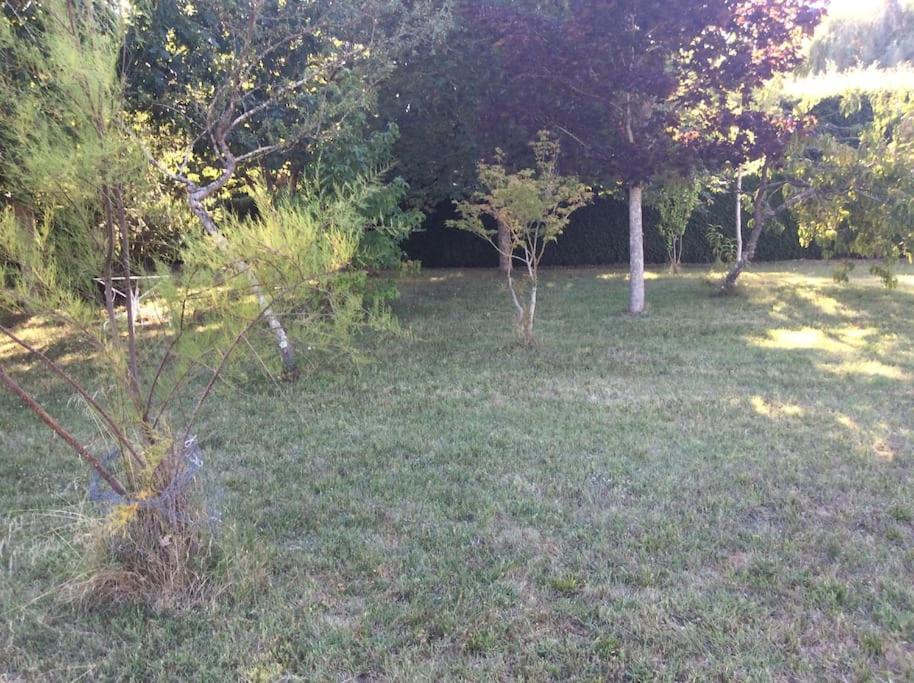 Photo of Others in Saint-Denis-en-Val