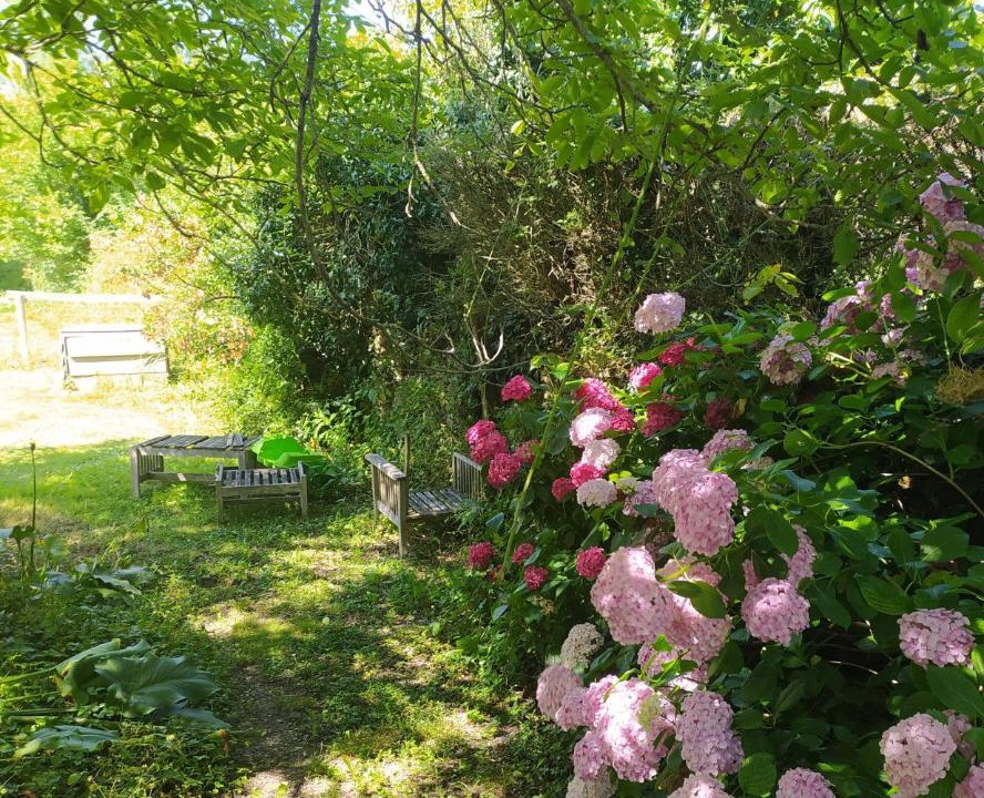 Photo of Others in Saint-Etienne-d'Orthe