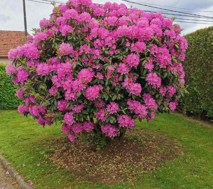 Photo of Others in Morgny-la-Pommeraye