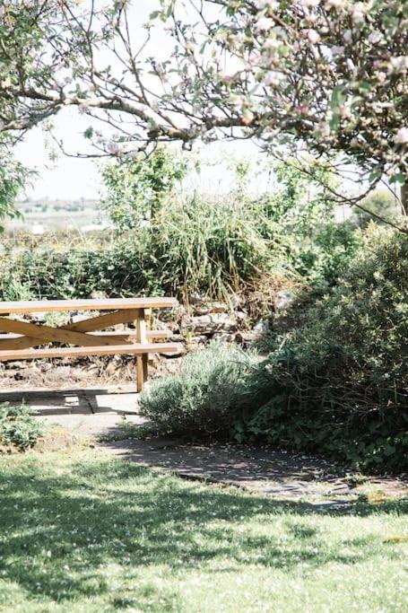 Photo of Others in Illogan