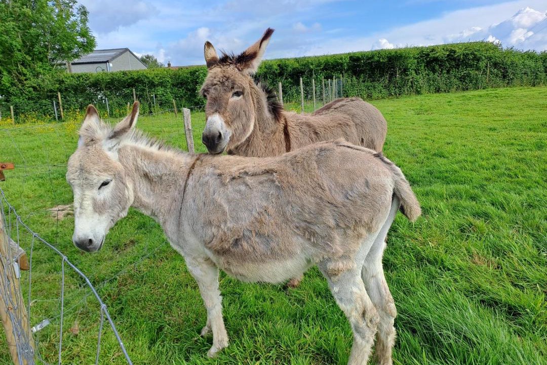 Photo of Others in Berthen