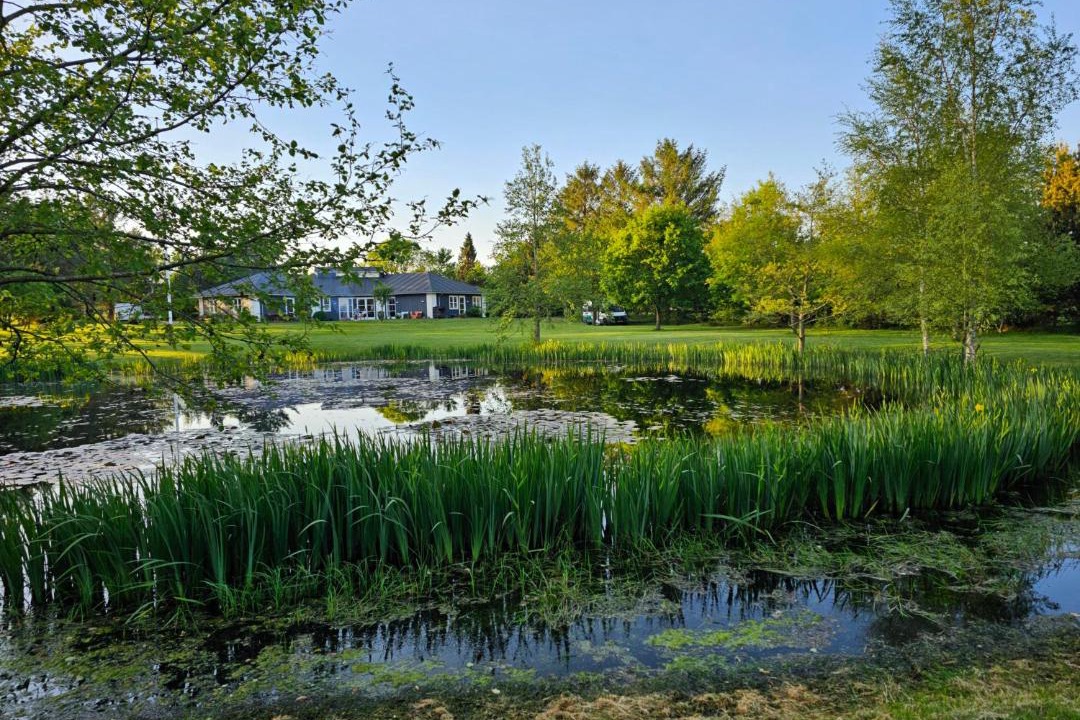 Photo of Others in Tjaereborg