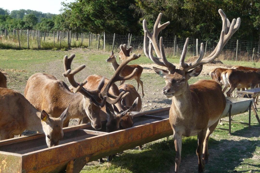 Photo of Others in Epuisay