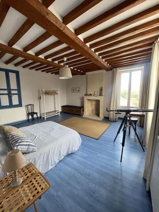 Photo of Others in Ver-sur-Mer