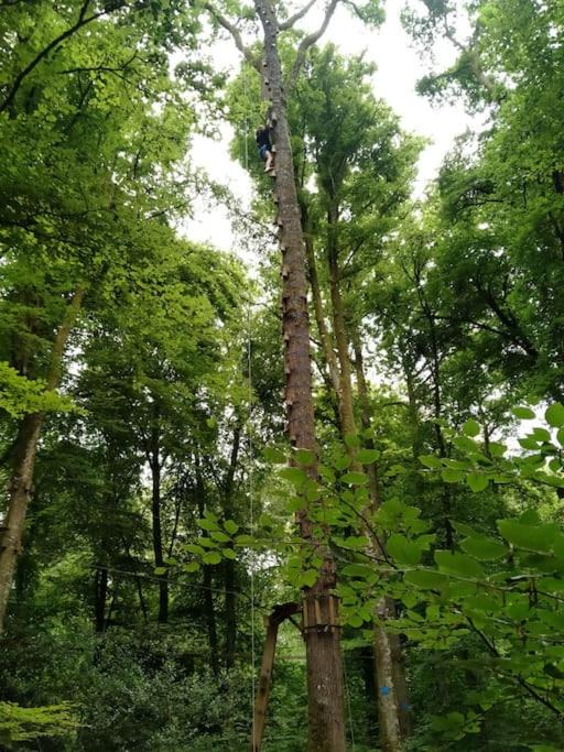 Photo of Others in Trans-la-Foret