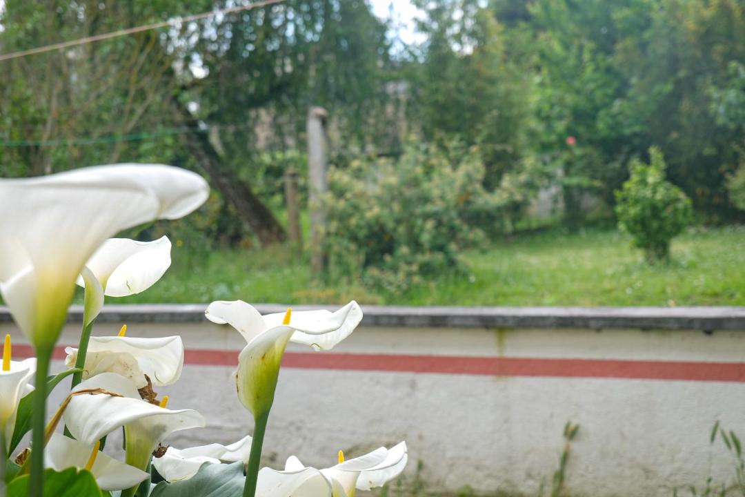 Photo of Others in Deux Croix-Banchais