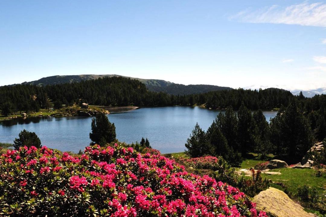 Photo of Others in Font-Romeu-Odeillo-Via