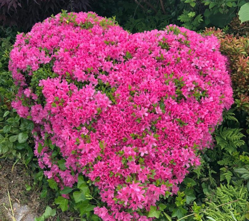 Photo of Others in Sindal