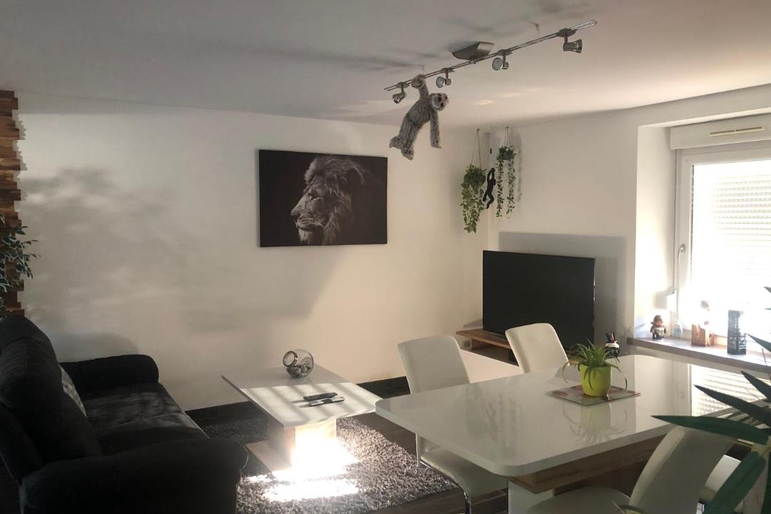 Photo of Others in Eloyes