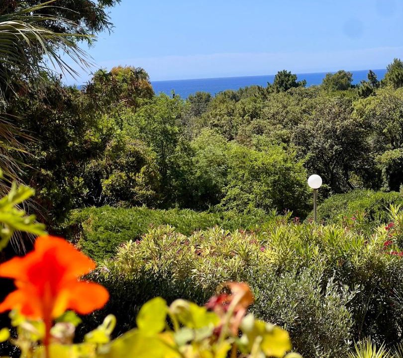 Photo of Others in La Croix-Valmer