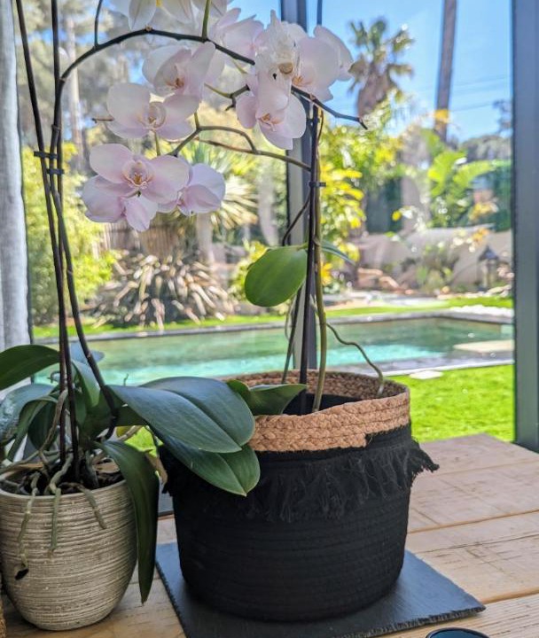 Photo of Others in Le Brusc