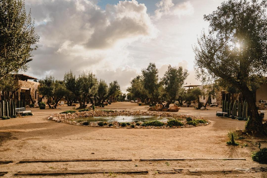 Photo of Others in Valle de Guadalupe