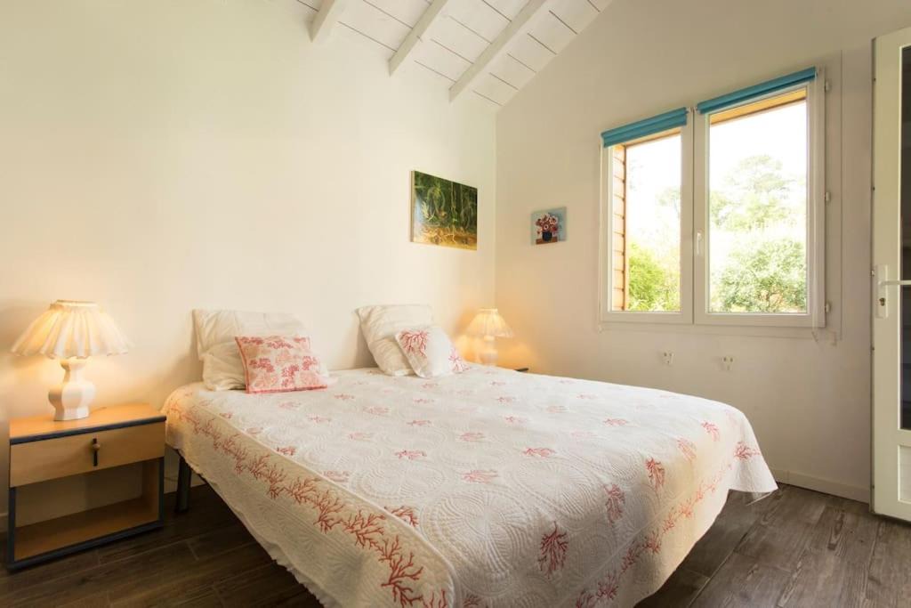 Photo of Others in Soorts-Hossegor