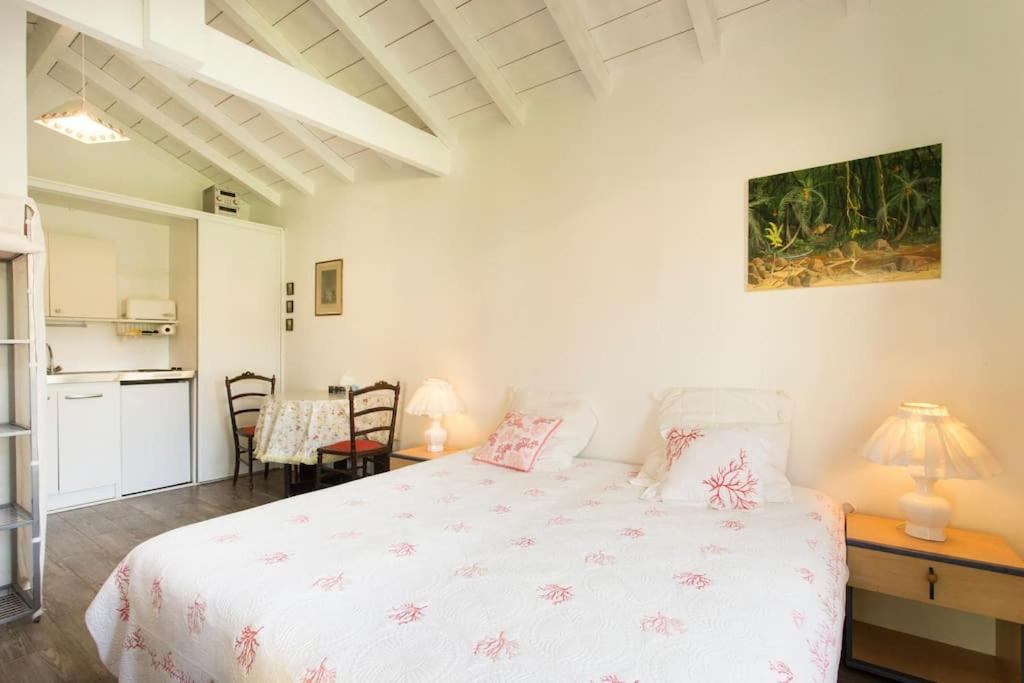 Photo of Others in Soorts-Hossegor